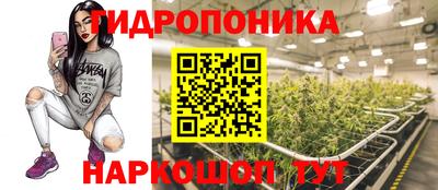 стафф Ликино-Дулёво