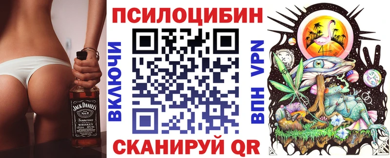 хочу   Элиста  Псилоцибиновые грибы Cubensis 
