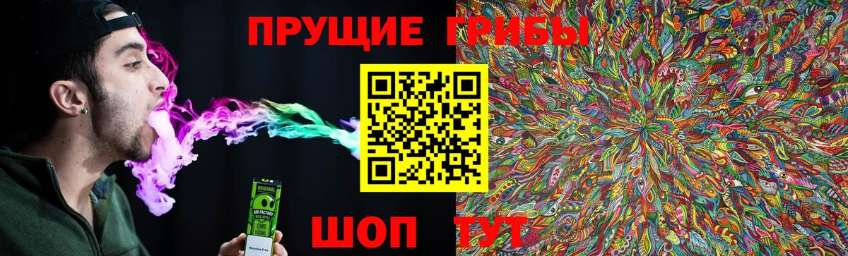Элиста  Галлюциногенные грибы Psilocybe  Вход с VPN  Псилоцибиновые грибы Psilocybine cubensis 